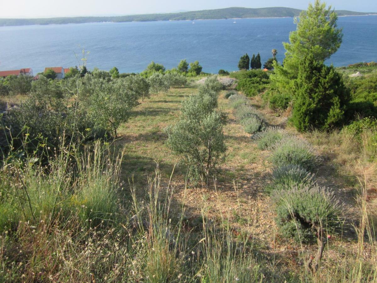 Inzomare Hvar Zavala