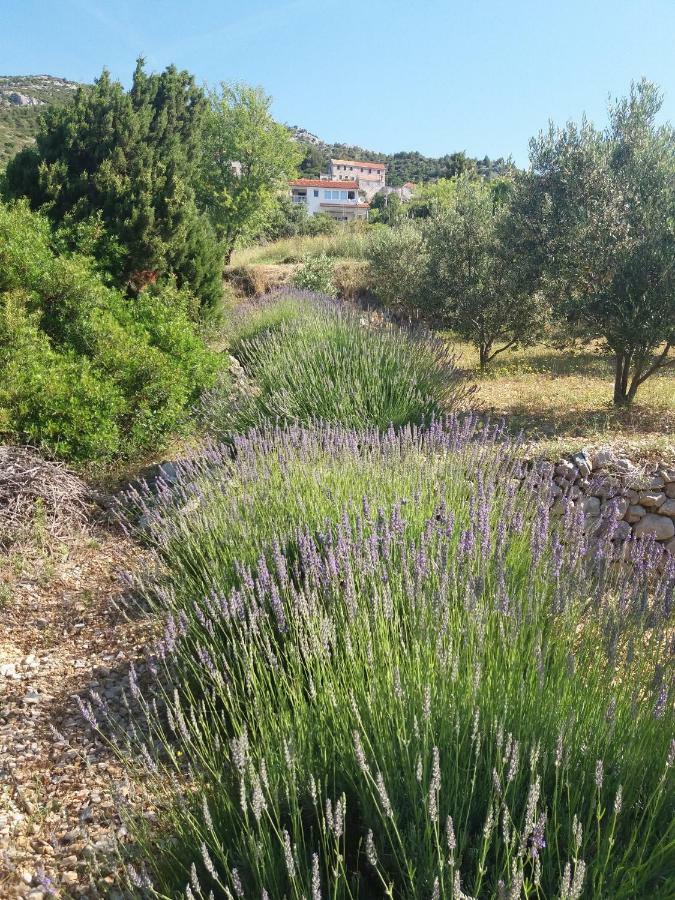 Inzomare Hvar Zavala