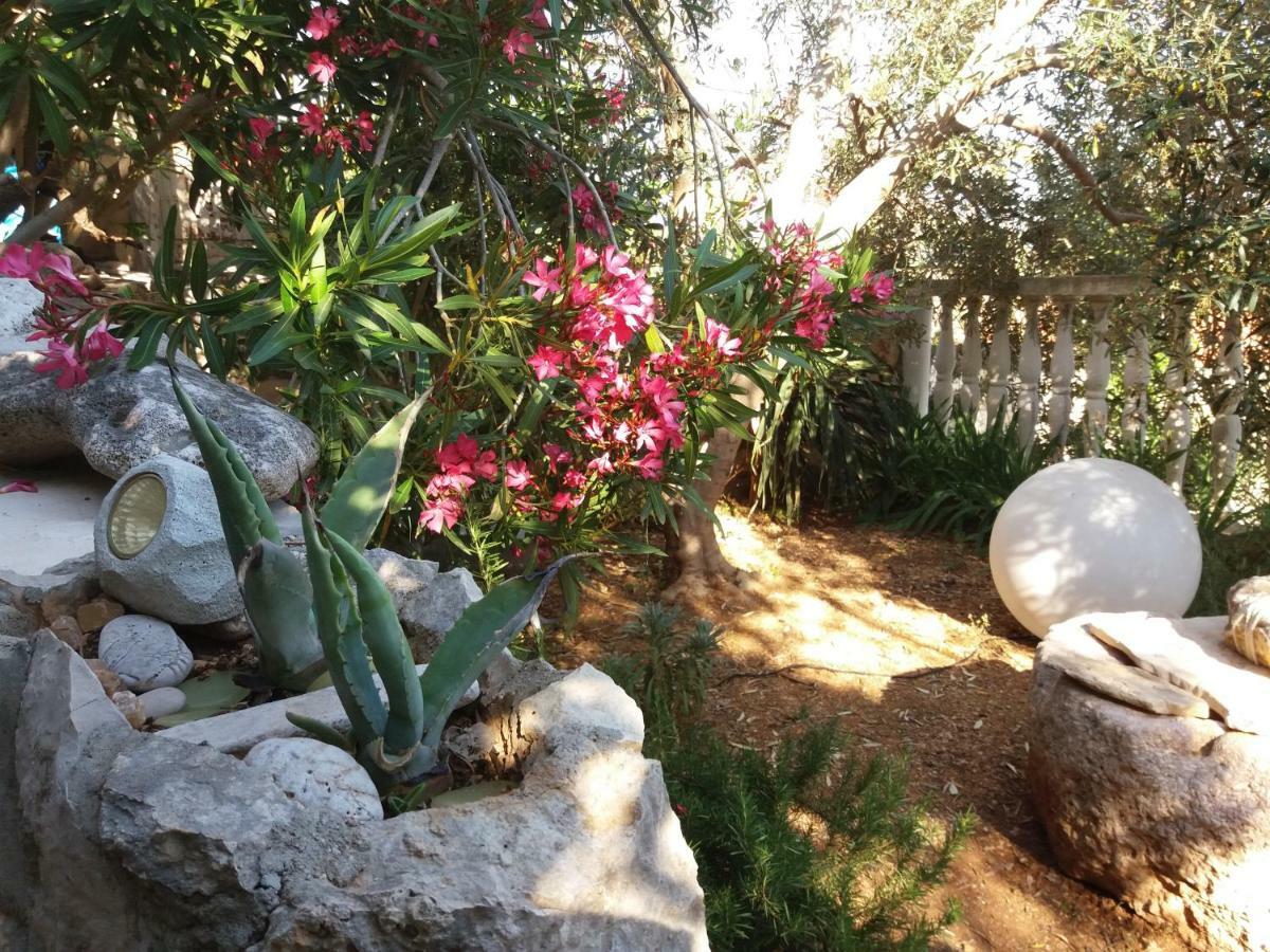 Inzomare Hvar